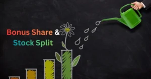 A-1 Limited bonus share stock split और रिकॉर्ड डेट से जुड़ी खबर