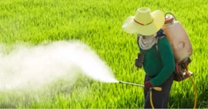 Bharat Rasayan stock split bonus issue news and record date announcement