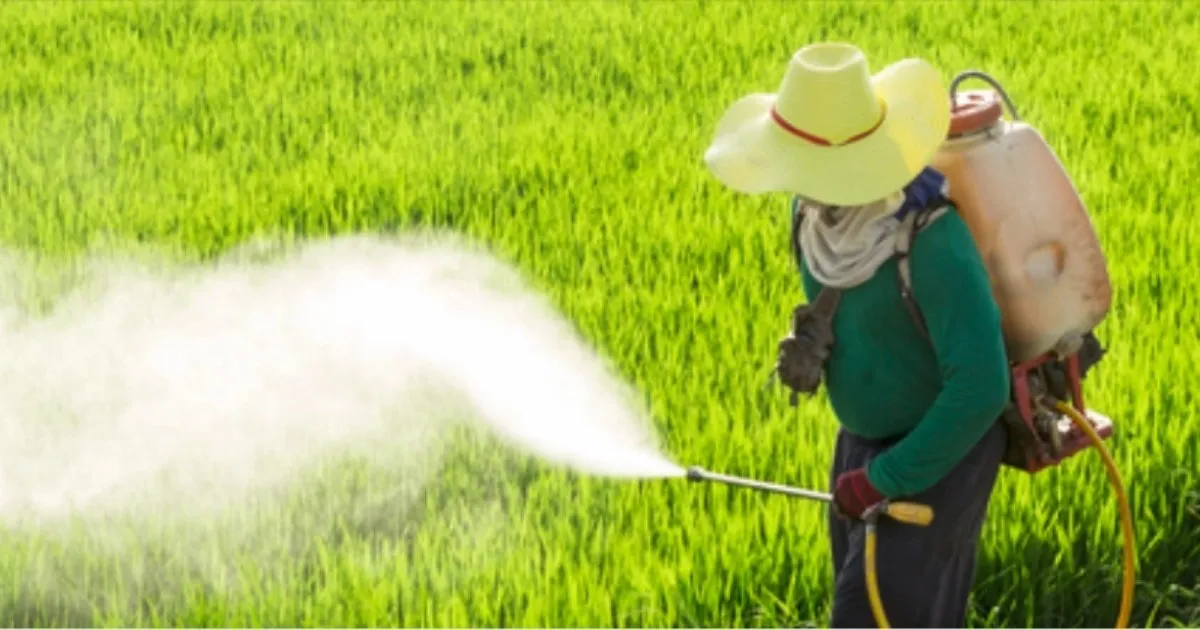 Bharat Rasayan stock split bonus issue news and record date announcement