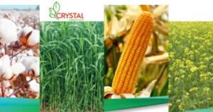 Crystal Crop Protection IPO की पूरी जानकारी हिंदी में