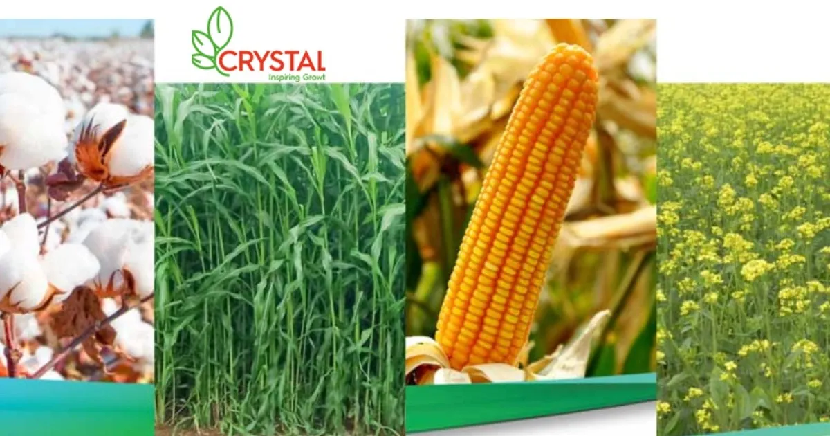 Crystal Crop Protection IPO की पूरी जानकारी हिंदी में
